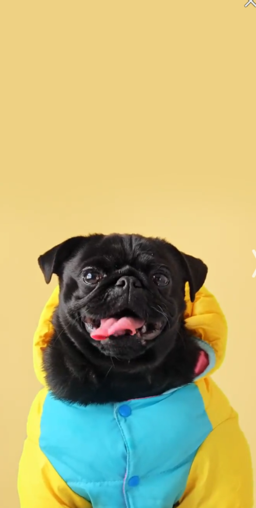 Screenshot_20220729-095034