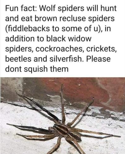 FB_IMG_1656912843185