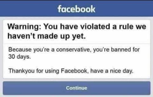 53700359_10213574049290182_3718694843652767744_n