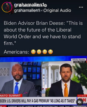 liberals299