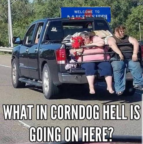 8faf6d692f15403_2bafcd36_540