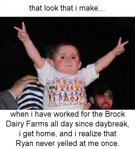 when i have worked for the Brock Dairy Farms all day since daybreak
