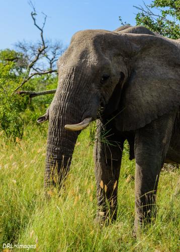 96735681_4386521951373443_1384747346570510336_n