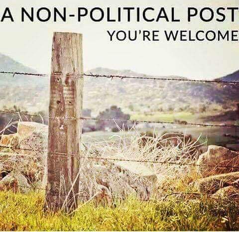 .facebook_1554338875855