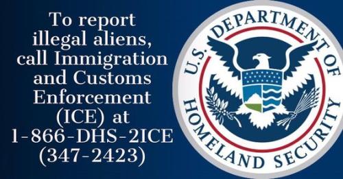 report_illegal_immigrants (1)