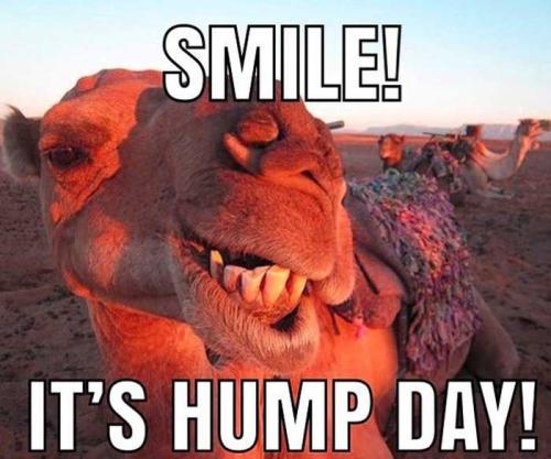 1-Hump Day
