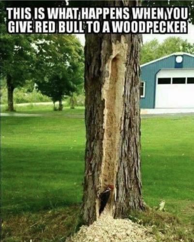 20:34:36 GMT-0400 (EDT)