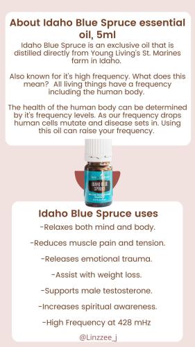 EE0E749B-9548-4257-9FED-34A1ADCFE492