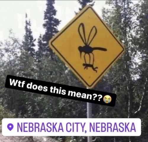 I must find this sign