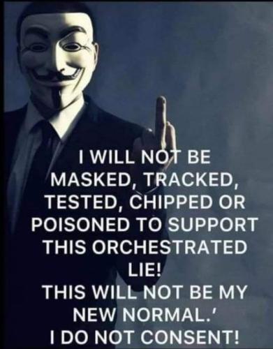 295970724_458553749423685_2443945246501223107_n