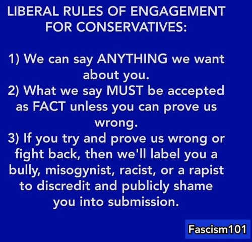 liberal-fascism-rules-of-engagement-for-conservatives-we-can-say-anything-about-you-label-if-you-fight-back