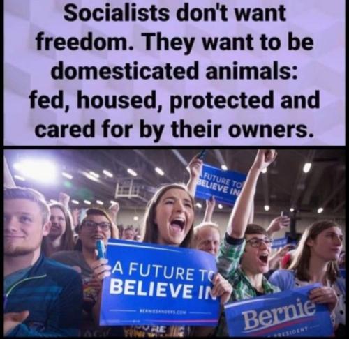 Screenshot_20220701-191438_MeWe