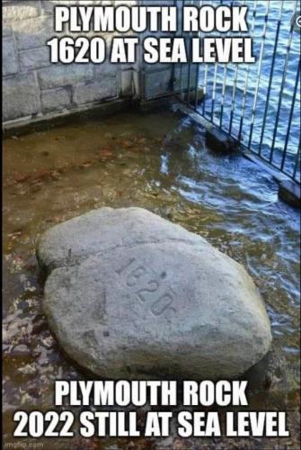 plymouth rock