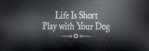 .facebook_1554074465082