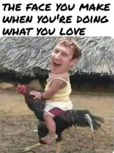 FB_IMG_1656698752353