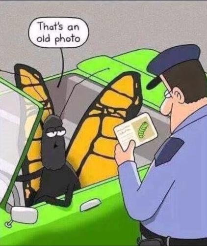 Screenshot_20220713-072943_YouTube