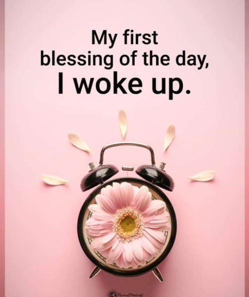 533d752269d0400296e675502fd7a2fd