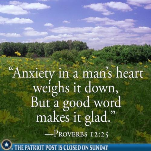 Proverbs 12 n.25 (1)