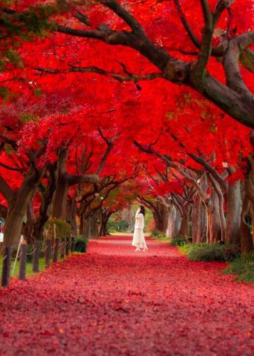 290790414_558424065912069_1608240407033307659_n