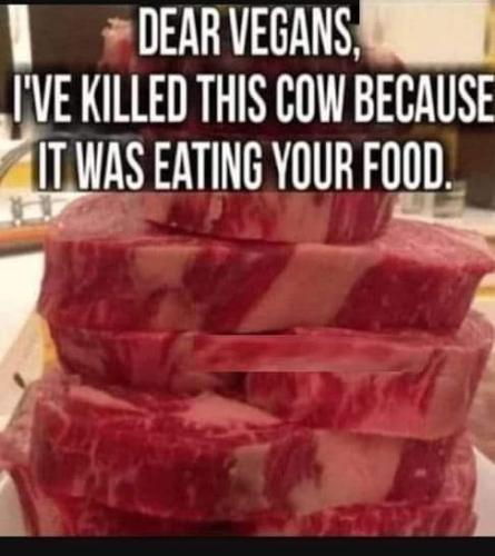 FB_IMG_1657897951011