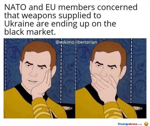 who-would-have-seen-this-coming