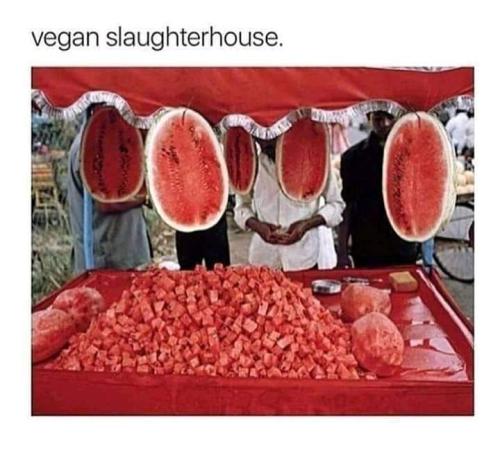 FB_IMG_1658163761117