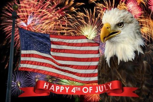 fireworks-display-during-fourth-of-july-with-american-flag-and-bald-eagle_u-L-Q103L550