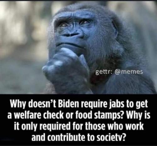 FB_IMG_1658161920306