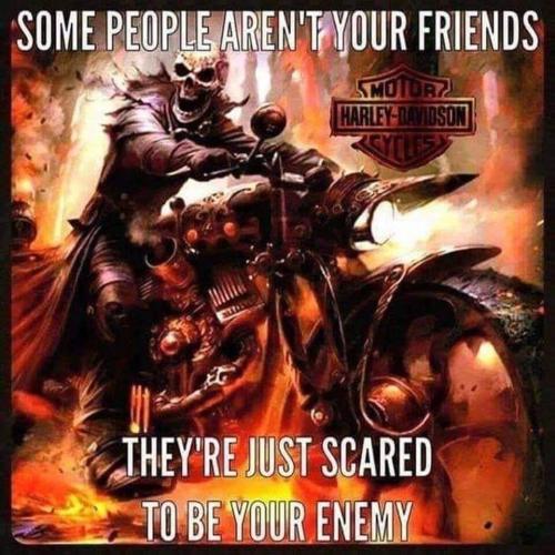 FB_IMG_1659279292513