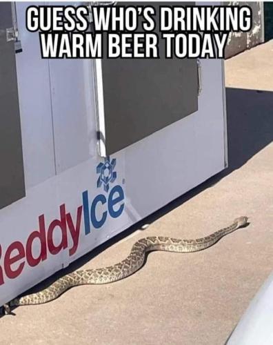 19:32:38 GMT-0400 (EDT)