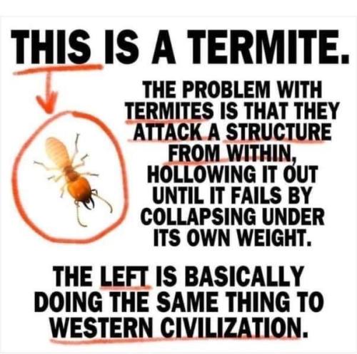 termite me