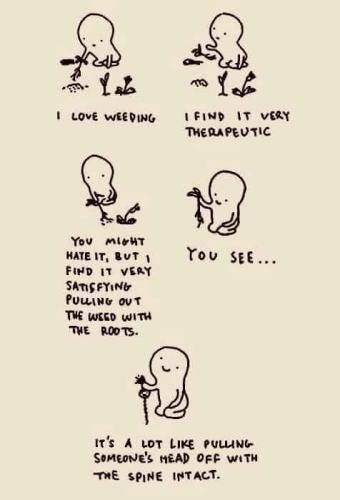 FB_IMG_1658186657687