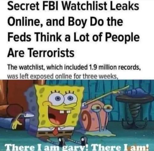 fbi watchlist