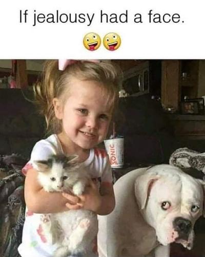 FB_IMG_1656698379468