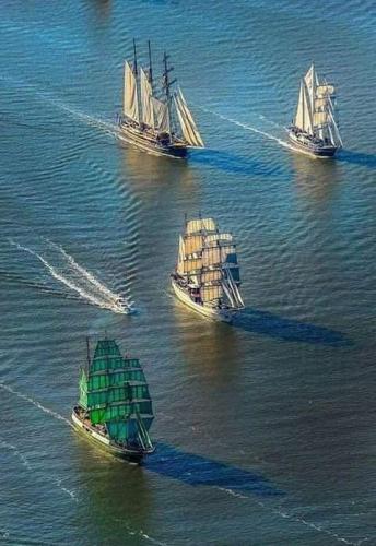 FB_IMG_1657904447304