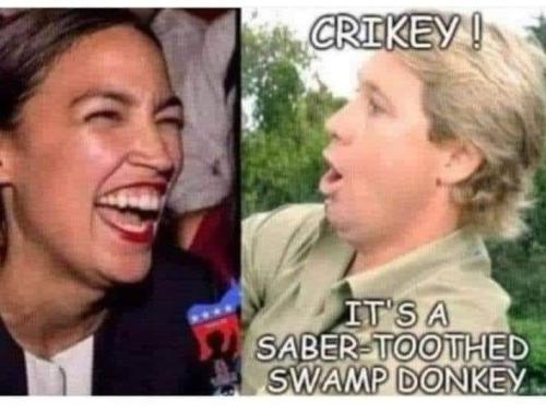 FB_IMG_1658436584217