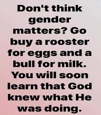 3e356dc79bac3d27 (1)