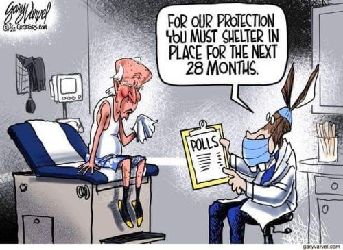 295795178_1114817356116257_506585492805152895_n