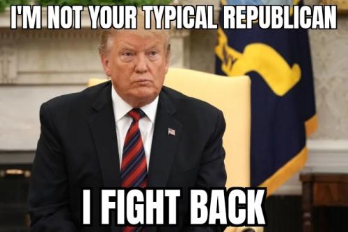 TrumpFightsBack