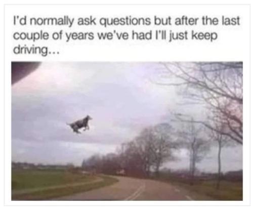 FB_IMG_1659127826328