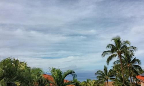 IMG_20220706_142357_408