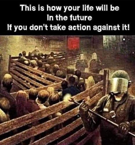 FB_IMG_1658818316298