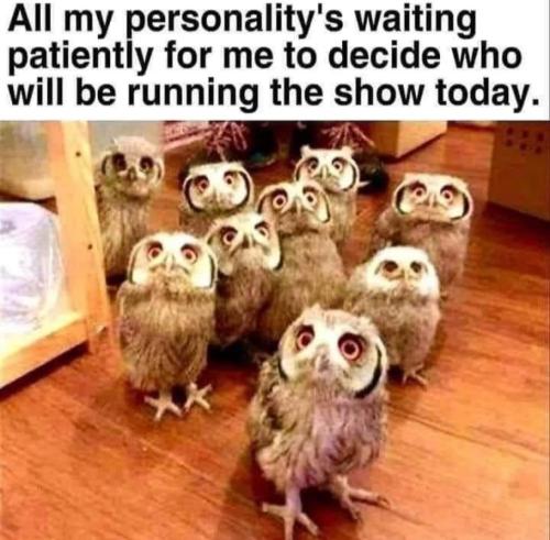 FB_IMG_1658927124242