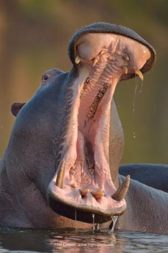 016c46ebbc9a69568b68f2b5157b25ff