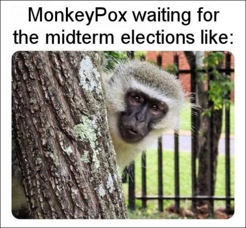 monkeypox35