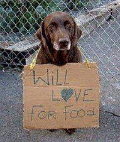 FB_IMG_1656704697993