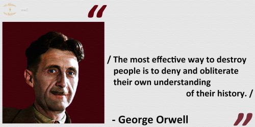 292685831_460321729431658_528253703525661773_n