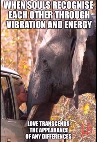 Screenshot_20220713-073012_YouTube