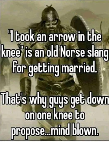 img - 2022-07-30T130724.063