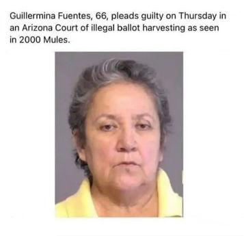 2000 mules21